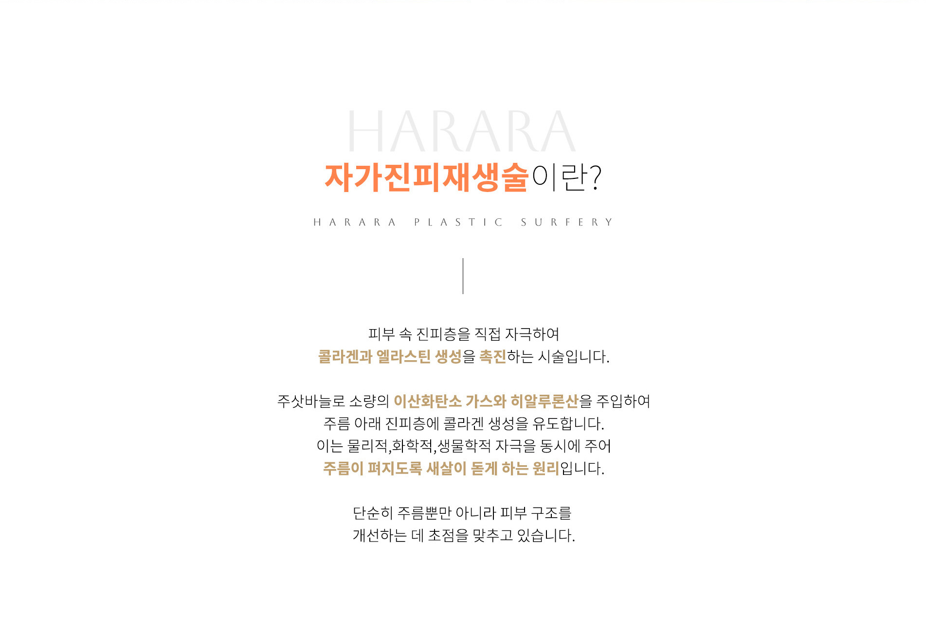 이란?