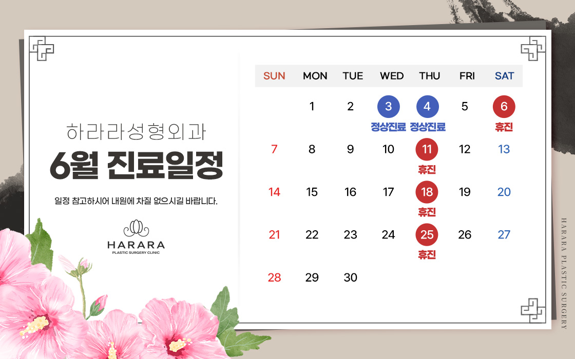 6월진료일정